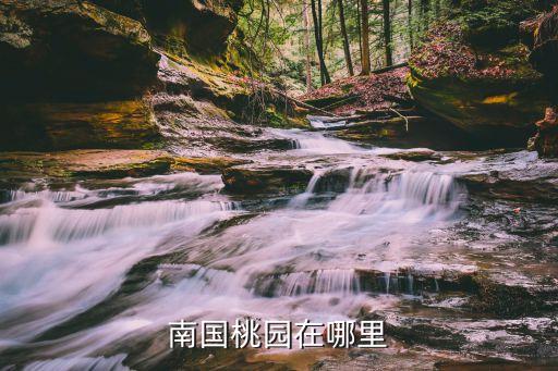 南国桃园在哪里