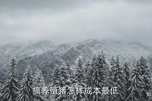 搞养殖猪怎样成本最低