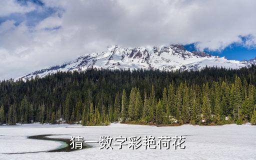 一什么荷花，猜一数字彩艳荷花