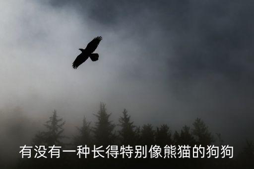 有没有一种长得特别像熊猫的狗狗