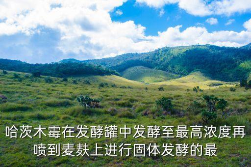 哈茨木霉在发酵罐中发酵至最高浓度再喷到麦麸上进行固体发酵的最