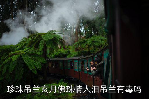情人泪图片，跪求唯美悲伤沉沦的图片以及浪漫爱情图片