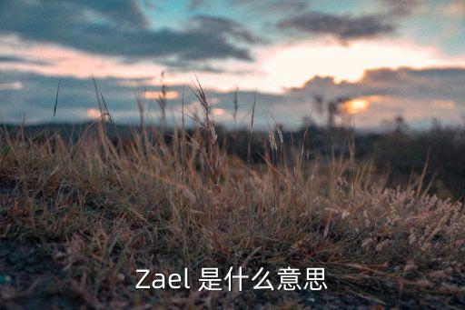 狂热的意思，crazy什么意思