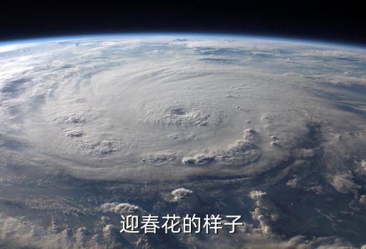 迎春花是什么样子，迎春花的样子