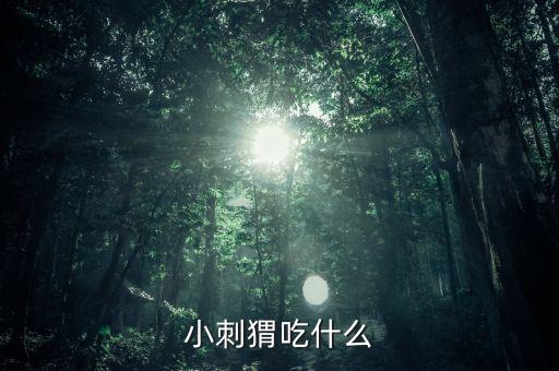 小刺猬吃什么东西，小刺猬吃什么