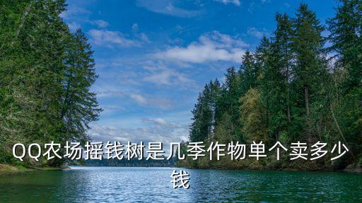 摇钱树图片，花卉摇钱树为什么发出新芽变黑