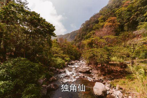 独角仙，独角仙是什么类别的昆虫呢
