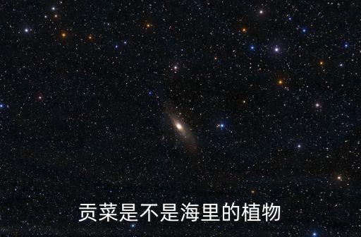 苔干菜，苔干是什么菜好吃吗