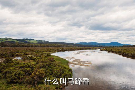 马蹄香，蹄花归去马蹄香是什么意思
