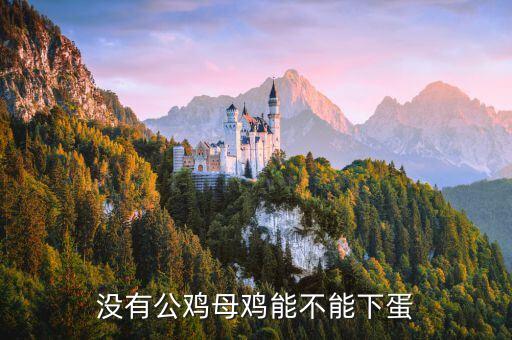没有公鸡母鸡能不能下蛋
