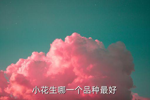 花生品种，小花生哪一个品种最好