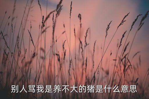 别人骂我是养不大的猪是什么意思