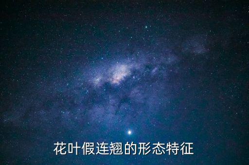 花叶假连翘，请教这是金叶假连翘吗