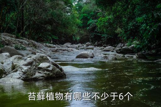 苔藓植物，苔藓是什么植物