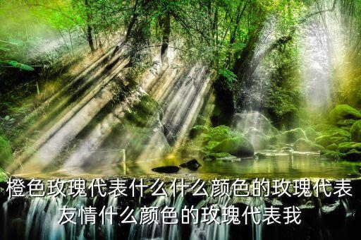 橙色玫瑰代表什么什么颜色的玫瑰代表友情什么颜色的玫瑰代表我