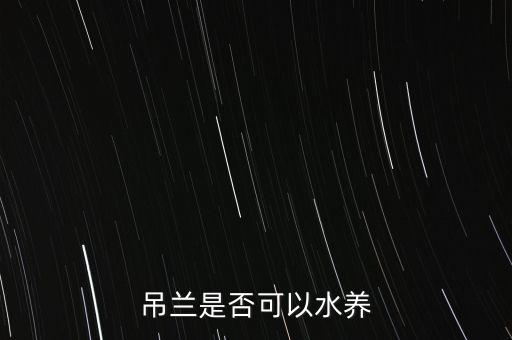 吊兰是否可以水养