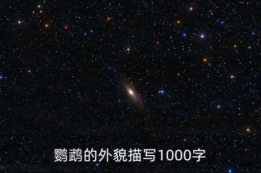 描写鹦鹉的外貌，关于写情侣鹦鹉外形作文