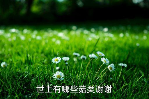 世上有哪些菇类谢谢