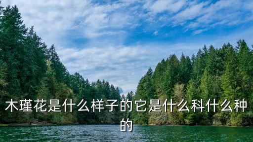 木瑾花是什么样子的它是什么科什么种的