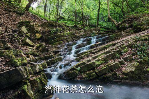 洛神花茶怎么泡，洛神花怎样泡才有酸味