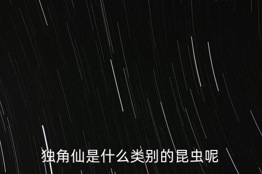 独角仙是什么类别的昆虫呢