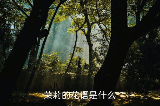 茉莉的花语是什么