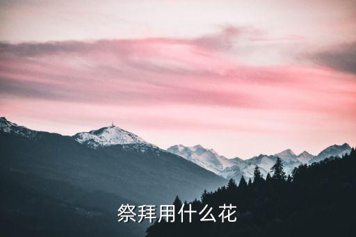 祭拜用什么花