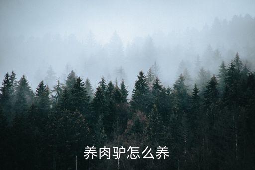 肉驴养殖，养殖肉驴挣钱吗