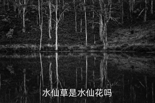 水仙草是水仙花吗