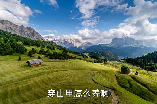穿山甲养殖，穿山甲自家怎么样养殖