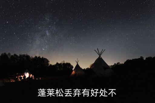 蓬莱松寓意，蓬莱松有花语吗