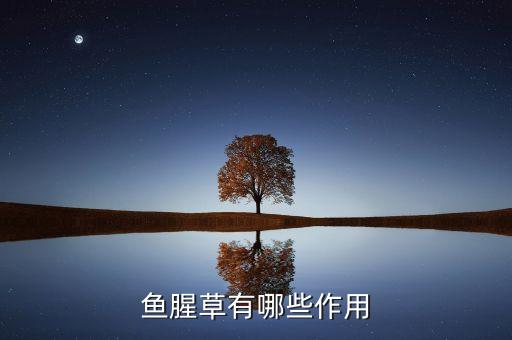 鱼腥草有哪些作用