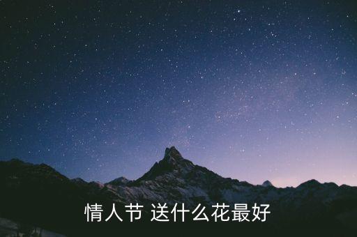 情人节 送什么花最好
