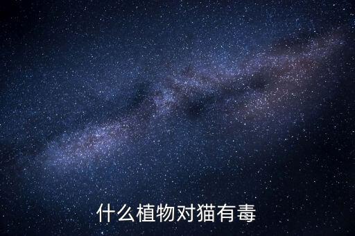 什么植物对猫有毒