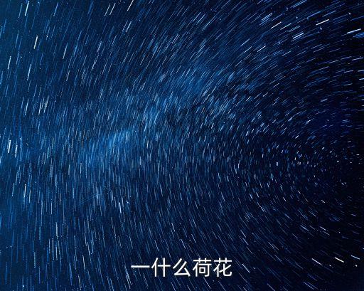一什么荷花