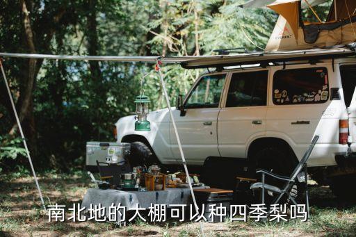 四季梨，南北地的大棚可以种四季梨吗