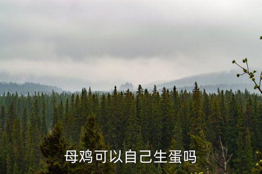 母鸡自己能下蛋么，母鸡会自己下蛋吗
