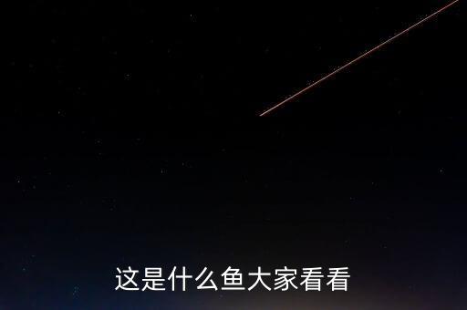 这是什么鱼大家看看
