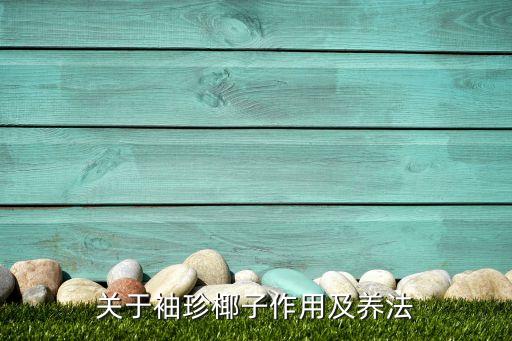 关于袖珍椰子作用及养法