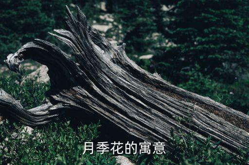 月季花的寓意