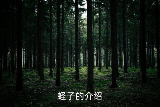 中国淡水蛏，蛏子 是产于长江还是海洋
