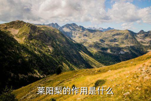 莱阳梨的作用是什么