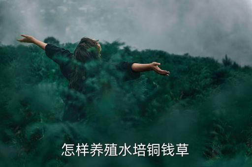 铜钱草水培，空调房水培铜钱草怎么发叶快
