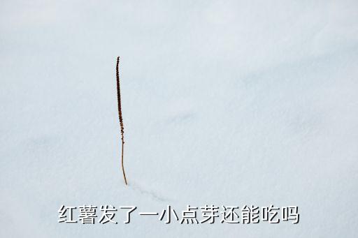 番薯发芽，番薯发芽能吃吗