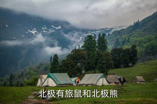 北极旅鼠，北极旅鼠之谜