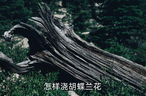 蝴蝶兰怎么浇水，蝴蝶兰怎么浇水