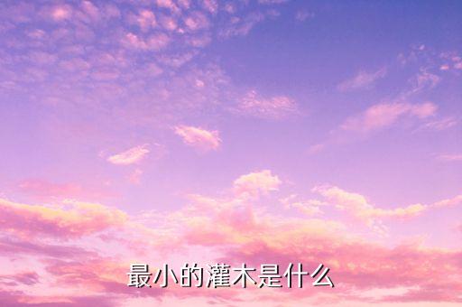 小灌木，园林道路绿化有哪些小型灌木