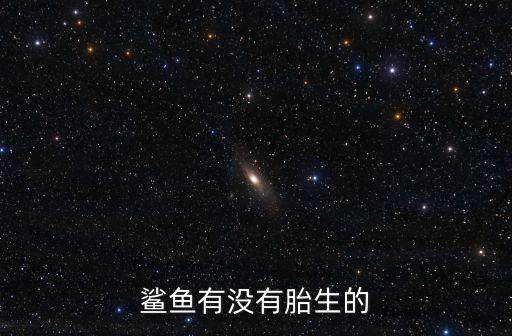 鲨鱼胎生，鲨鱼有没有胎生的
