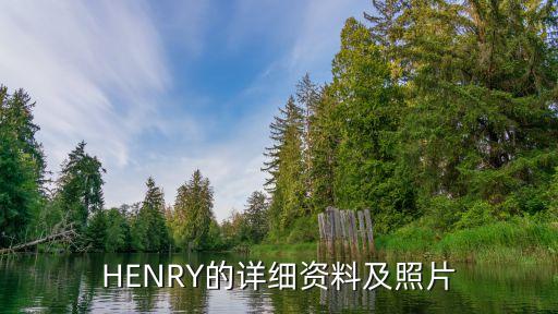 HENRY的详细资料及照片