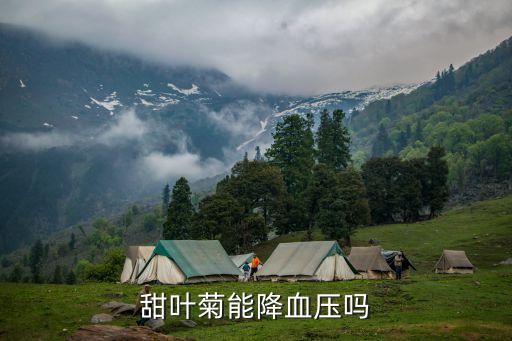 甜叶菊能降血压吗
